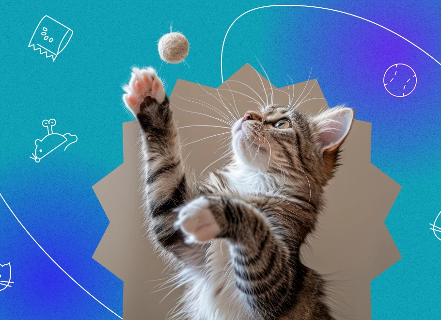 interactive cat ball